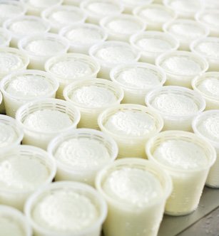 Yogurt Manufacturers 